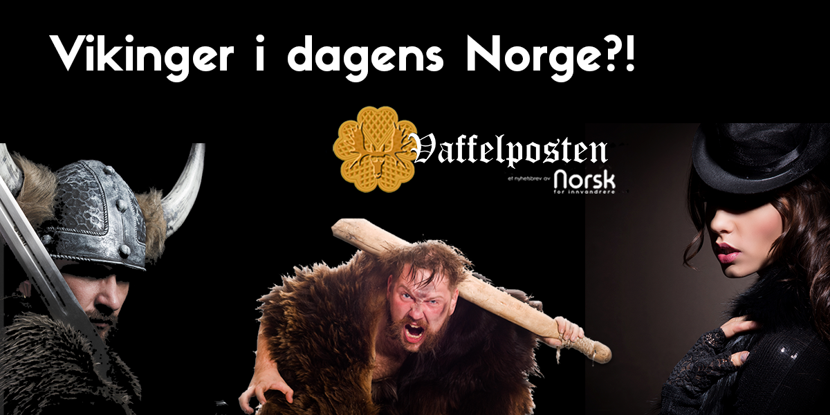 NFI-VP - Blog pic -vikinger i dagens Norge