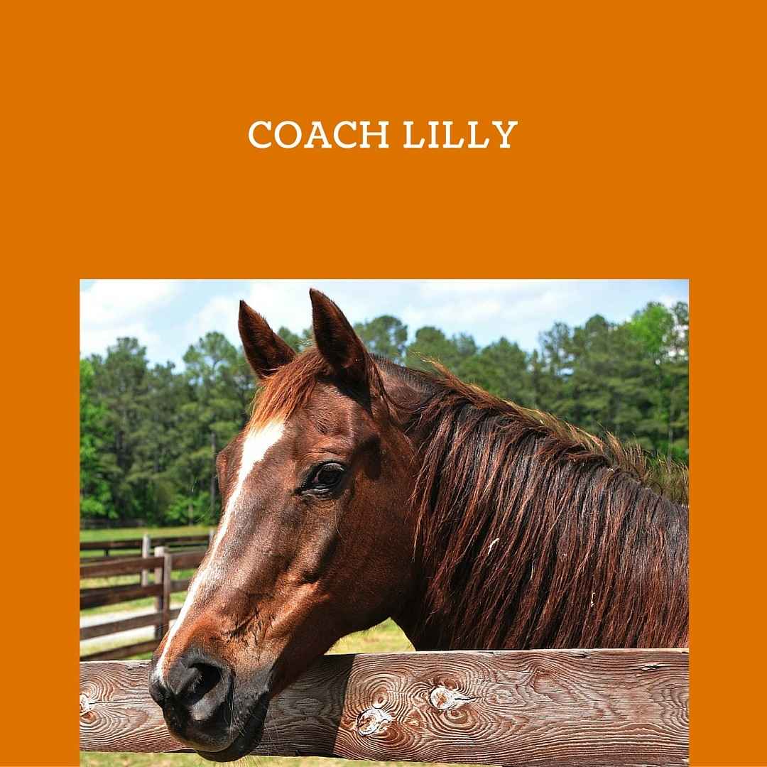 COACH LILLY (2)