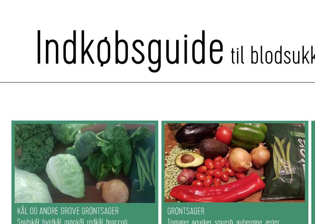 Indkoebsguide.png