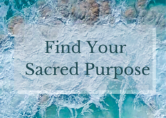 find-your-purpose-catalogue-card