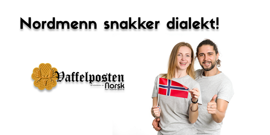 NFI-VP - Blog pic -nordmenn snakker dialekt