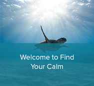 Find Your Calm Intro