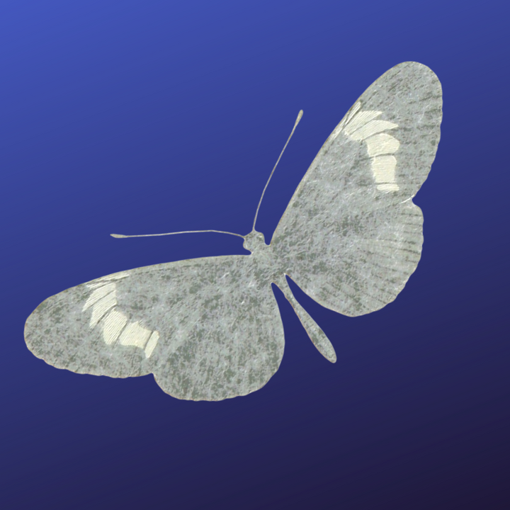 simple butterfly