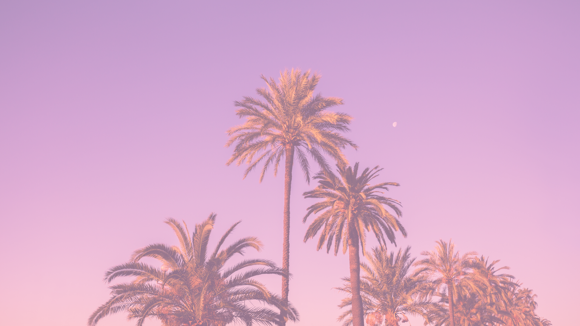 Purple and White Good Vibes Palm Wallpaper (1)