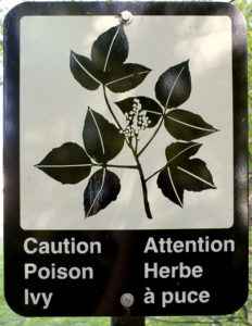 bigstock-Caution-Poison-Ivy-Sign-5184979-232x300