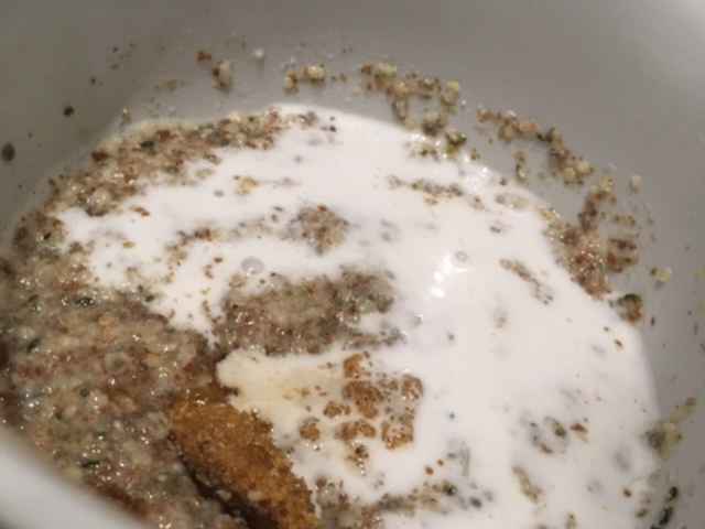porridge in bowl.JPG