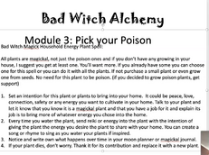 Module 4 Spell Household Energy Plant Spell