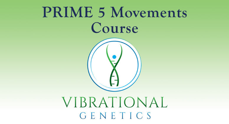 Prime 5 Movements Course