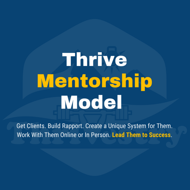 Thrive Mentorship Model TMM Card
