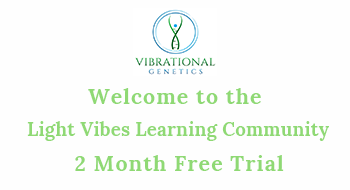 LVLC Welcome to the Light Vibes Learning Community