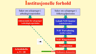 Institusjonele og prosessuelle forhold. Sykepenger 2020