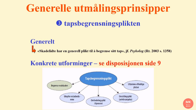 Tapsbegrensningsplikt. Erstatningsrett utmåling 2020 Nye opptak