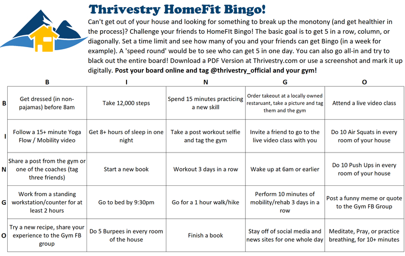 Thrivestry HomeFit Bingo Jpeg