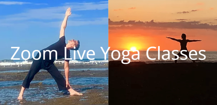 Zoom_Live_Yoga_Classes