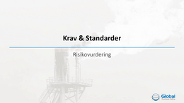 C-300-40-02-04-002 Risikovurdering Krav & Standarder