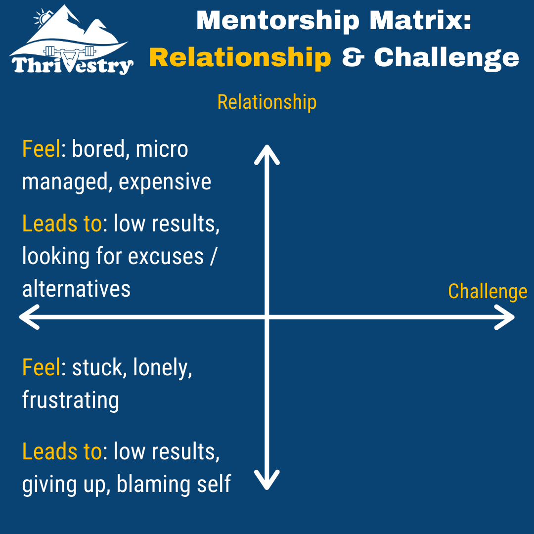 Mentorship Matrix 3.png