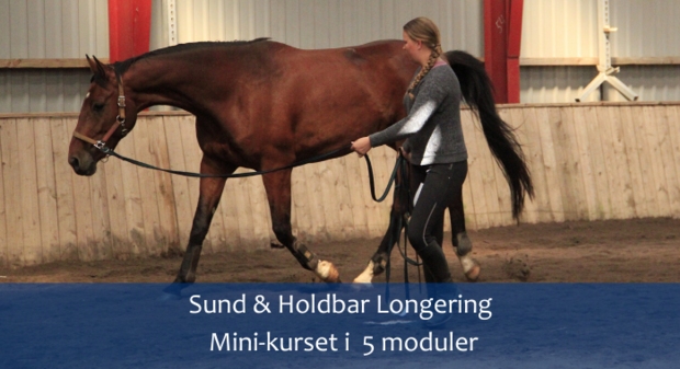 Sund & Holdbar Longering Mini-Kurset Card Image