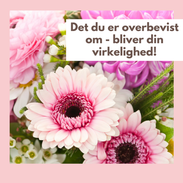 Lyserøde indrammet blomster florist instagram indlæg-1