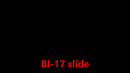009 Bl-17 slide
