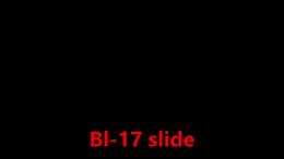 009 Bl-17 slide