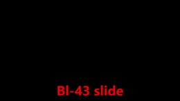 011 Bl-43 slide