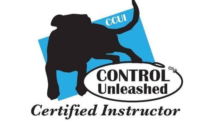 Control Unleashed Online Course