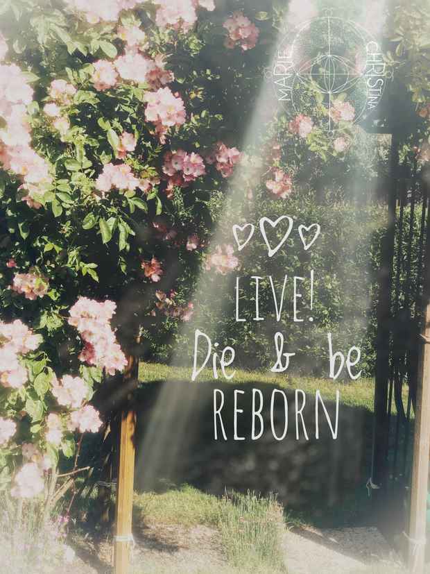 Live! Die & be reborn