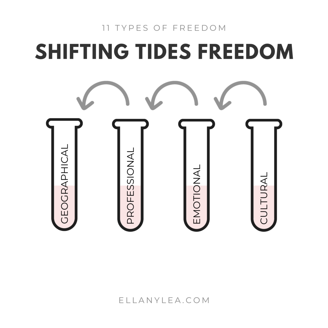 case-study-shifting-tides-freedom2.png