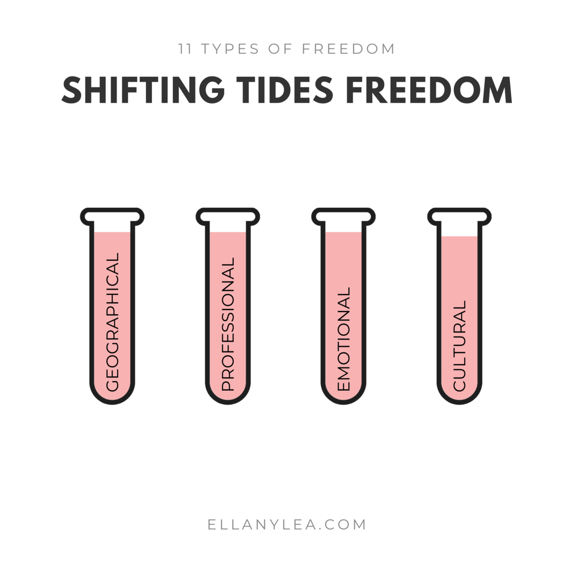case-study-shifting-tides-freedom1.png