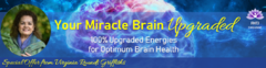 VRG-Brain20