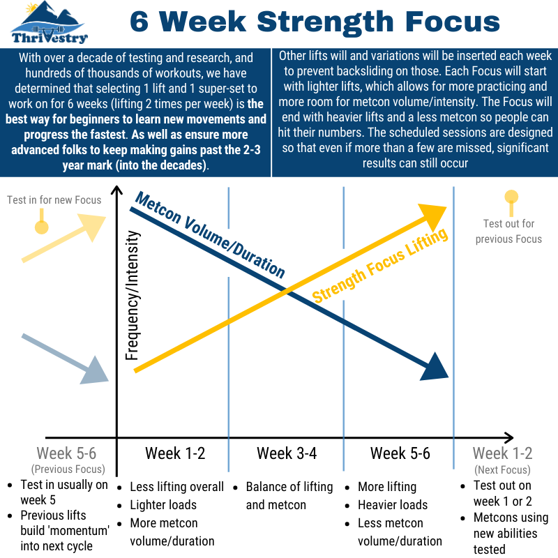 6 Week Strength Focus