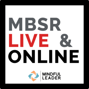 MBSR20 Logo