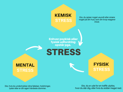 En oversigt over de 3 former for stress der findes: kemisk, mentalt og fysisk