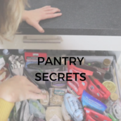 panty secrets