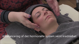 009 afbalancering af det hormonelle system samt kredsløbet