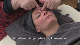 010 Stimulering af hjernebark og kranienerver