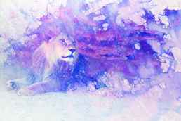 lions-purple