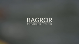 Spot på Bagror