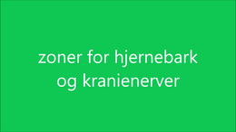 zoner for hjermebark og kranienerver