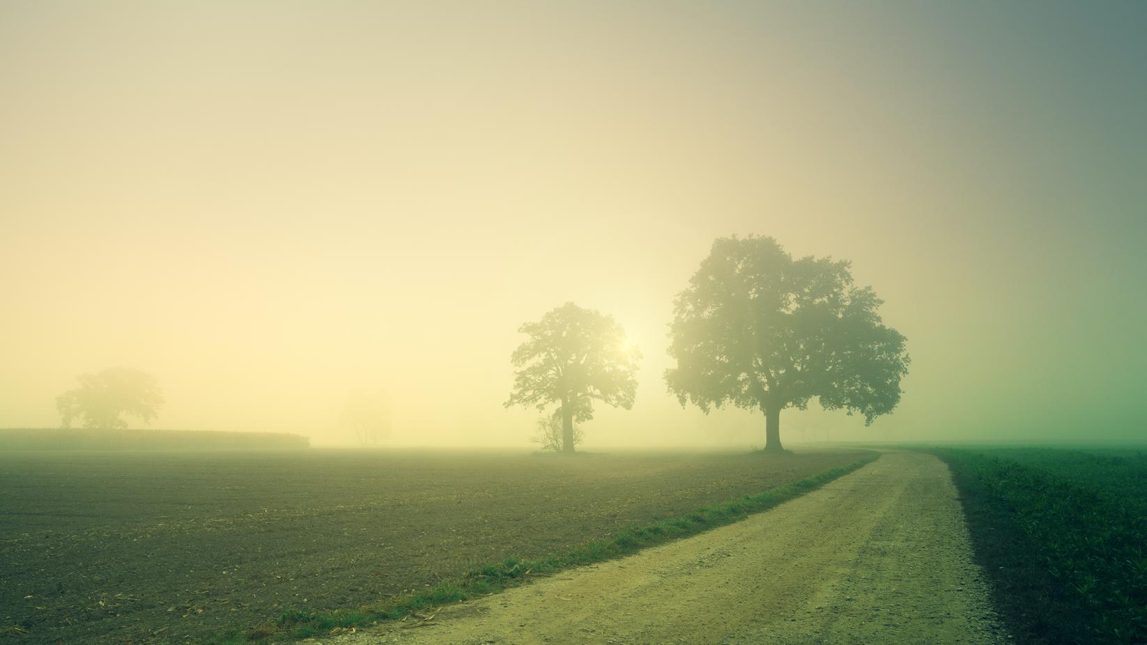 pexels-johannes-plenio-1632778