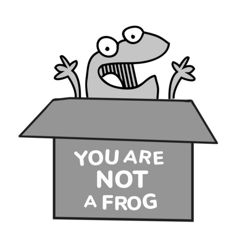 you are not a frog
