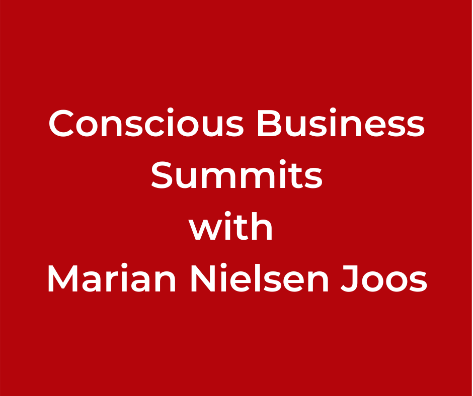 Conscious Business Summits