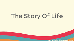 story-of-life