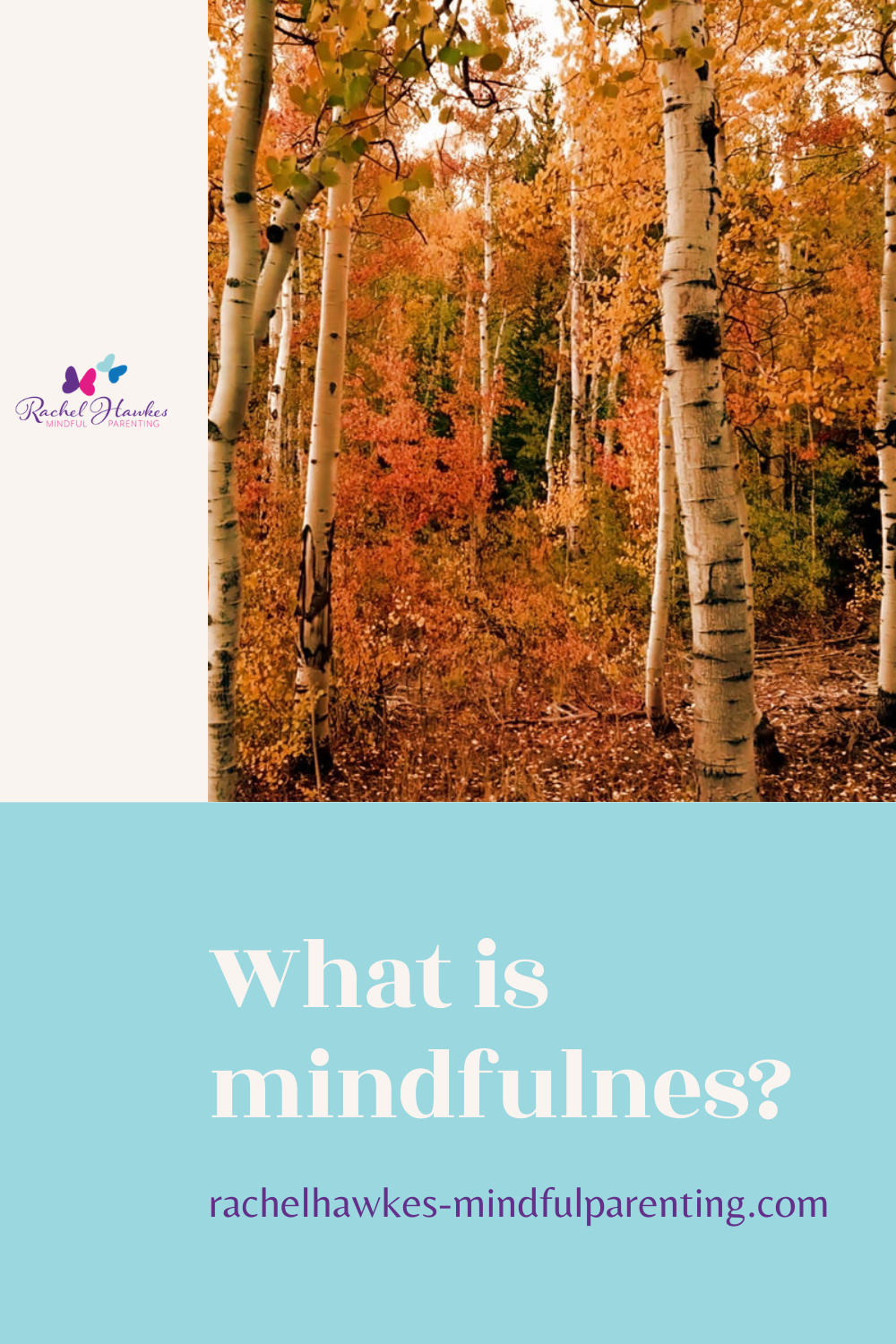 What is mindfulness?