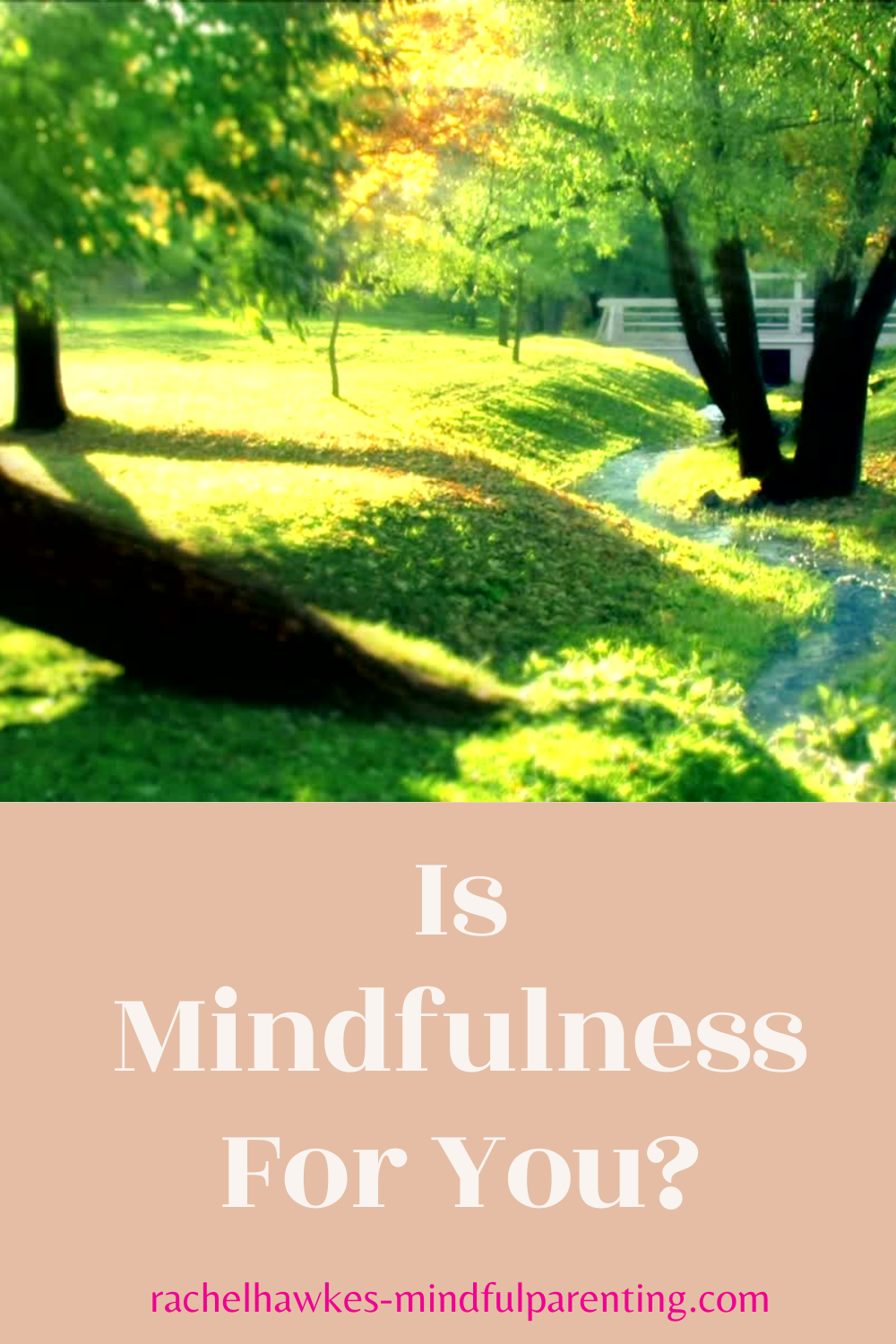 Is mindfulness for you?