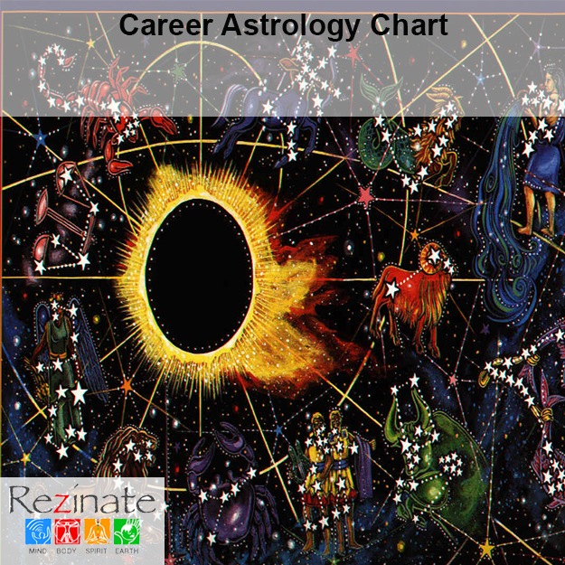 Career Astrology Chart