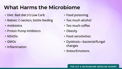 VIDEO Gut_andMicrobiome Rescue Summit_Mona_Morstein_Video