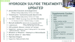 26.5 Hydrogen Sulfide Update Video