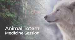Animal-Totem-Medicine-700x380-px