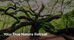 Your-True-Nature-Retreat-700x380-px